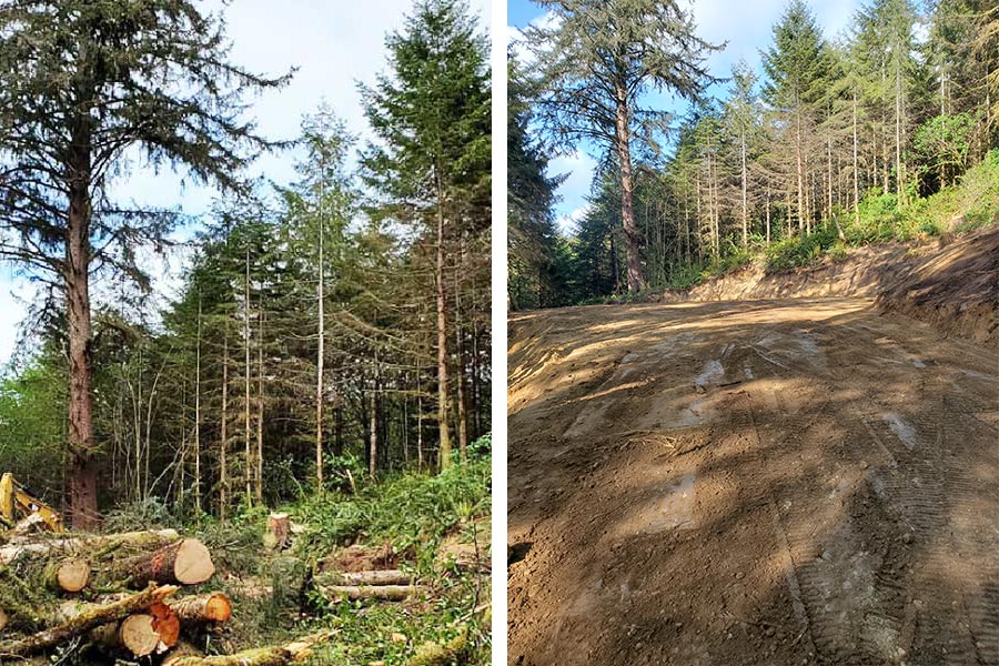 forestry-mulching-before-and-after-florence-or