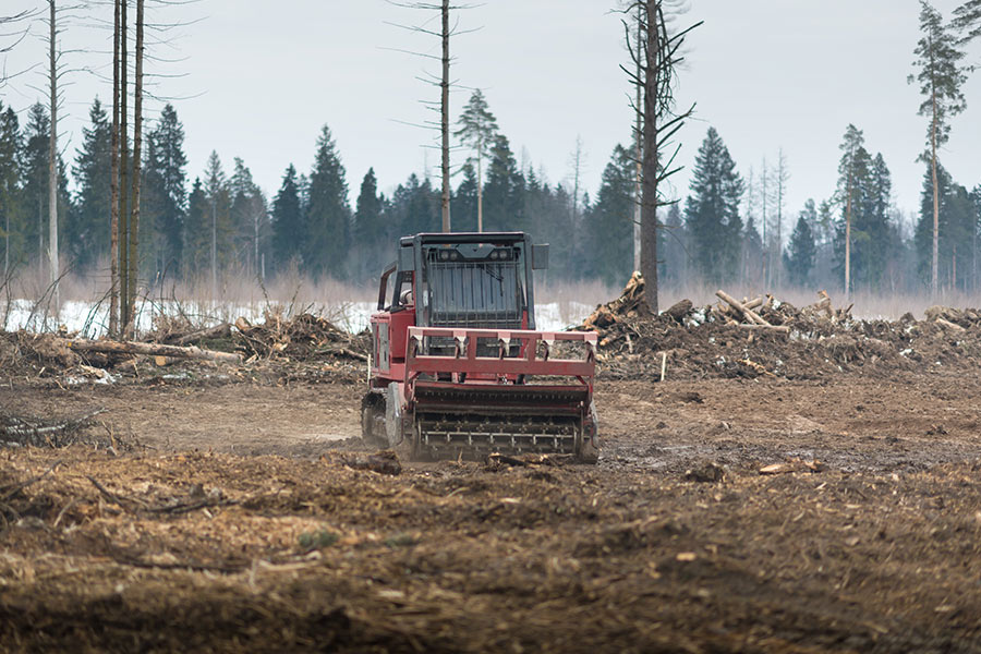 machine clearing land in forest eugene or
